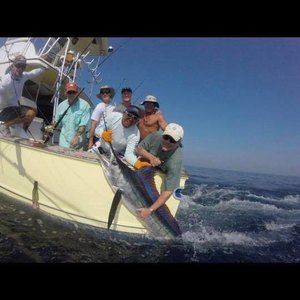 Meet your Posher, Bill